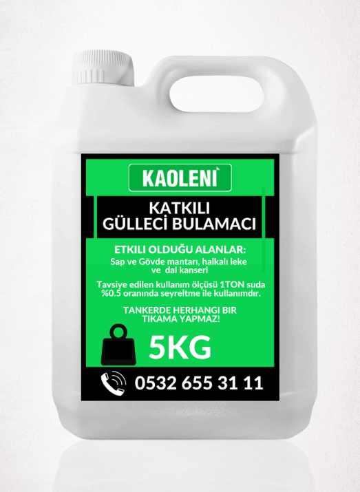 GÜLLECİ